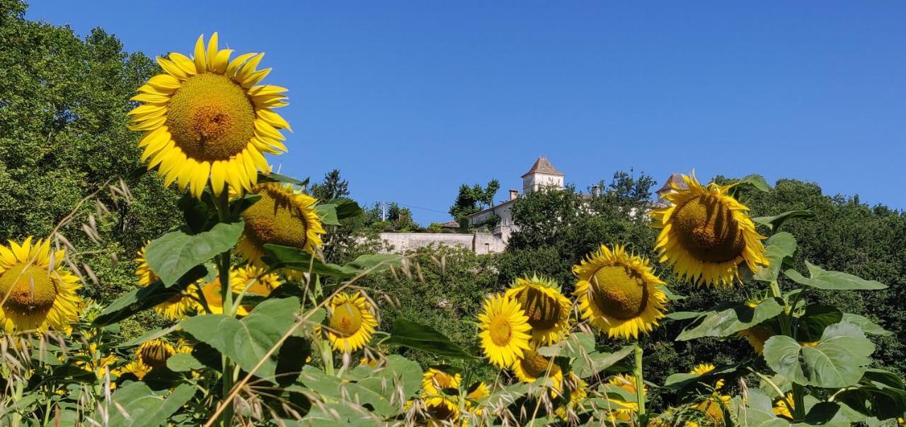 Manoir Le Bourg, Touffailles Villa Exteriör bild